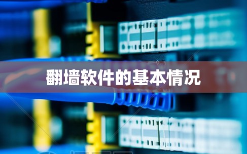 翻墙软件的基本情况