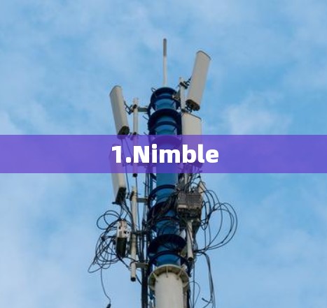1.Nimble