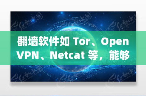 翻墙软件如 Tor、OpenVPN、Netcat 等,能够帮助用户绕过防火墙,连接到互联网。以下是一个关于如何提升他们快速连接体验的详细指南