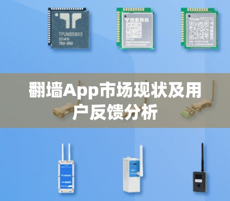 翻墙App市场现状及用户反馈分析