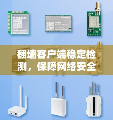 翻墙客户端稳定检测,保障网络安全的新途径