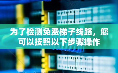 为了检测免费梯子线路,您可以按照以下步骤操作