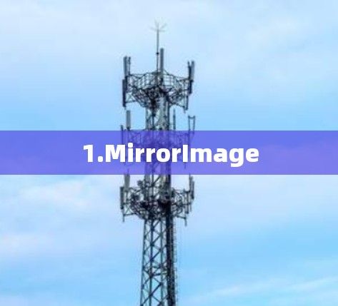1.MirrorImage