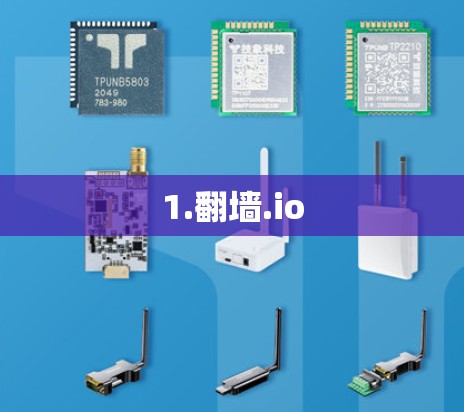 1.翻墙.io
