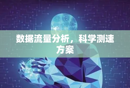 数据流量分析,科学测速方案