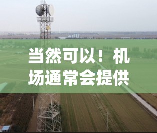 当然可以！机场通常会提供免费体验，帮助用户轻松完成一些常见的护照、领事馆、Import/export等便利服务。以下是常见的免费体验内容