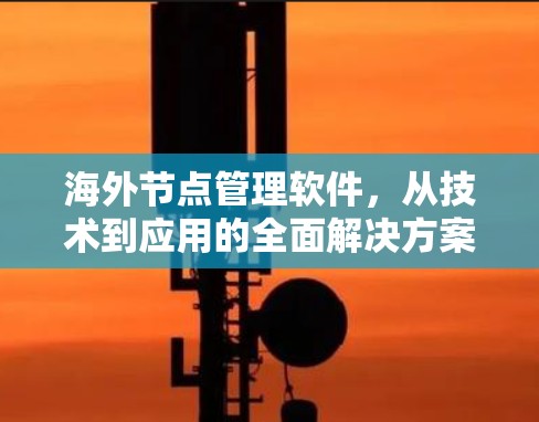海外节点管理软件，从技术到应用的全面解决方案