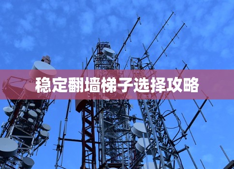 稳定翻墙梯子选择攻略