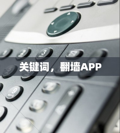 关键词，翻墙APP