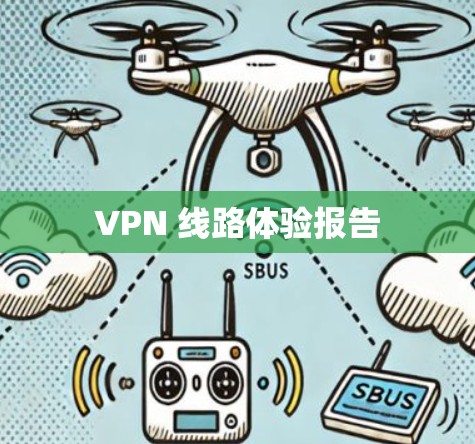 VPN 线路体验报告 VPN 线路体验报告