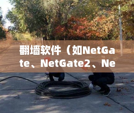 翻墙软件（如NetGate、NetGate2、NetGate3）的更新记录通常包括版本号、更新时间和功能调整。以下是一个结构化的回答，涵盖常见版本的更新情况
