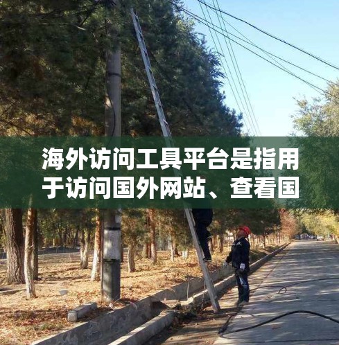 海外访问工具平台是指用于访问国外网站、查看国外资源或进行网络访问的工具。以下是一些常见的海外访问工具平台 海外访问工具平台是指用于访问国外网站、查看国外资源或进行网络访问的工具。以下是一些常见的海外访问工具平台