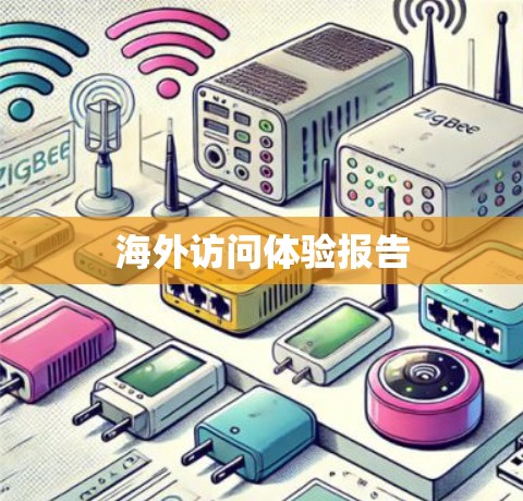 海外访问体验报告 海外访问体验报告