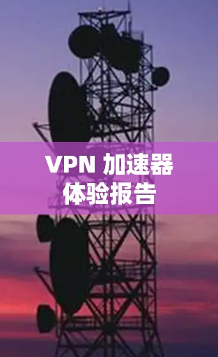 VPN 加速器体验报告 VPN 加速器体验报告