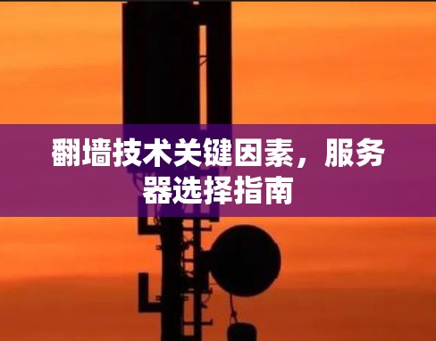 翻墙技术关键因素，服务器选择指南