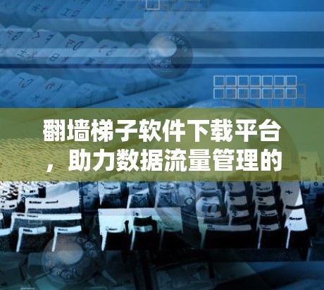 翻墙梯子软件下载平台，助力数据流量管理的高效解决方案