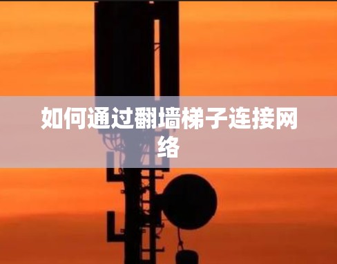如何通过翻墙梯子连接网络 如何通过翻墙梯子连接网络