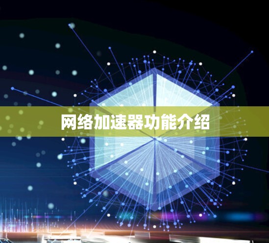 <strong>网络加速</strong>器功能介绍