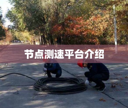 节点测速平台介绍