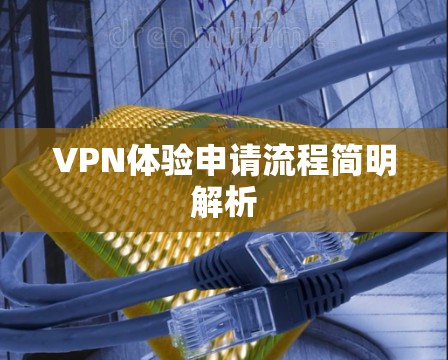 VPN体验申请流程简明解析
