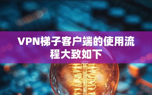 VPN梯子客户端的使用流程大致如下