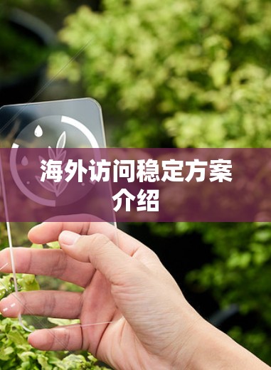 海外访问稳定方案介绍 海外访问稳定方案介绍