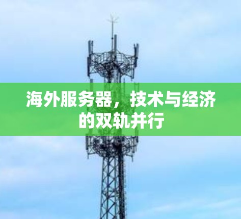 海外服务器,技术与经济的双轨并行 海外服务器,技术与经济的双轨并行
