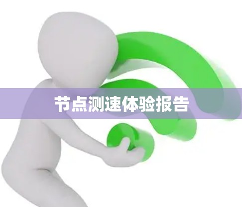节点测速体验报告