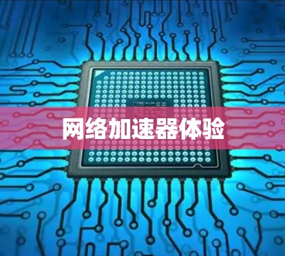 <strong>网络加速</strong>器体验