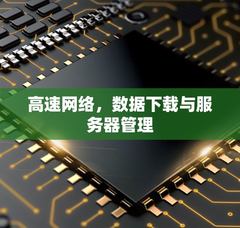 高速网络,数据下载与服务器管理 高速网络,数据下载与服务器管理