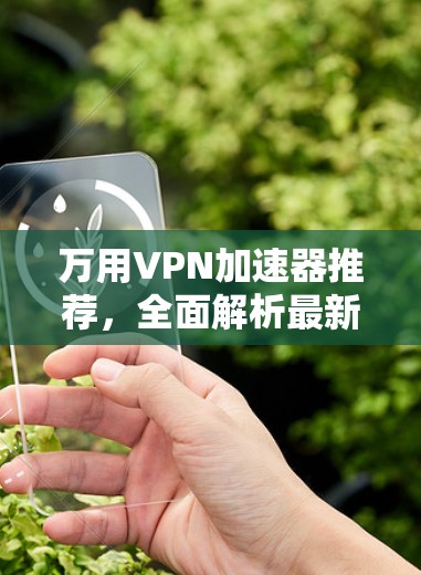 万用VPN加速器推荐，全面解析最新版本性能