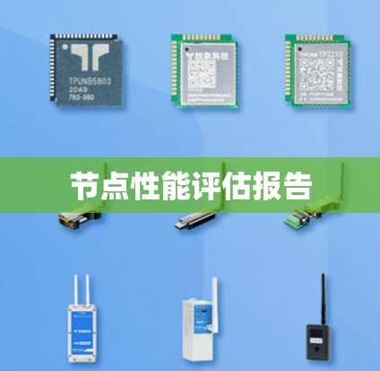 节点性能评估报告