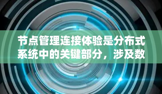 节点管理连接体验是分布式系统中的关键部分，涉及数据存储、处理、连接、安全性、监控和用户界面等多个方面。以下是对这一主题的详细分析和总结