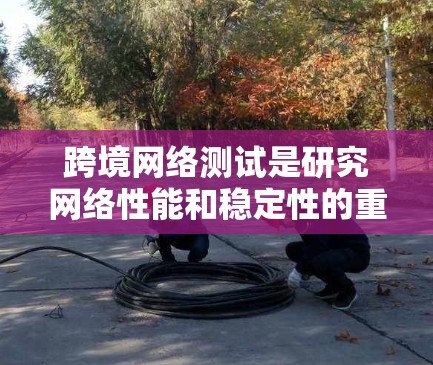 跨境网络测试是研究网络性能和稳定性的重要方法,尤其在涉及多个设备或节点的场景中适用。以下是详细的总结 跨境网络测试是研究网络性能和稳定性的重要方法,尤其在涉及多个设备或节点的场景中适用。以下是详细的总结