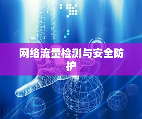 网络流量检测与安全防护