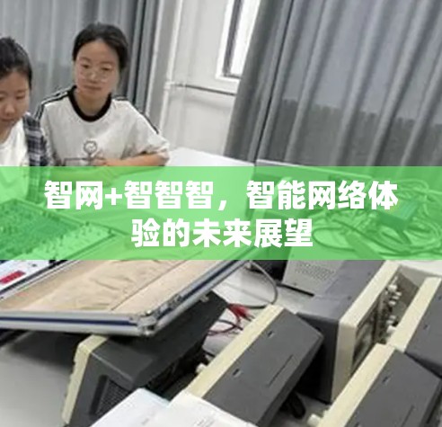 智网+智智智，智能网络体验的未来展望