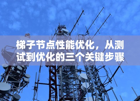 梯子节点性能优化，从测试到优化的三个关键步骤