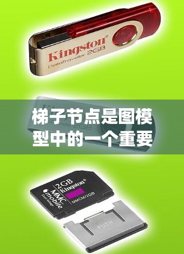 梯子节点是图模型中的一个重要工具,它允许我们在图中选择特定的节点作为根节点或子节点,从而灵活地构建和管理图中的结构。以下是对梯子节点的详细学习 guide 梯子节点是图模型中的一个重要工具,它允许我们在图中选择特定的节点作为根节点或子节点,从而灵活地构建和管理图中的结构。以下是对梯子节点的详细学习 guide