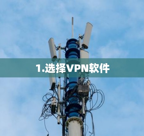 1.选择<strong>VPN软件</strong>