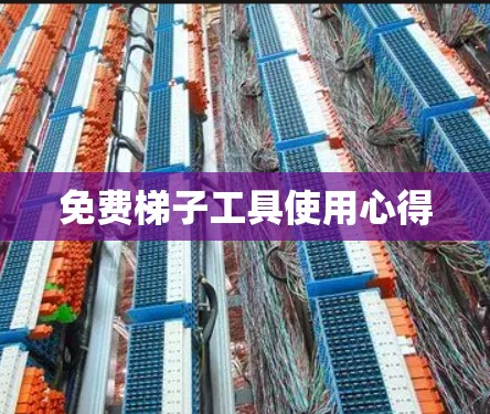 免费梯子工具使用心得