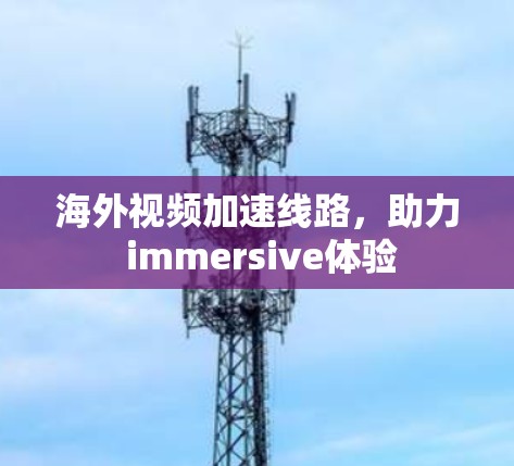 海外视频加速线路,助力 immersive体验