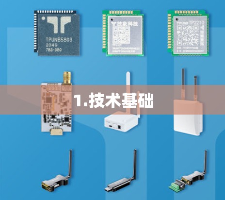 1.技术基础 1.技术基础