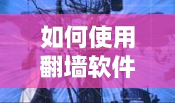 如何使用翻墙软件保护你的网络连接 如何使用翻墙软件保护你的网络连接