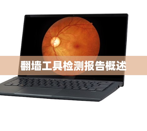 翻墙工具检测报告概述 翻墙工具检测报告概述
