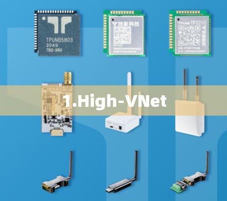 1.High-VNet 1.High-VNet