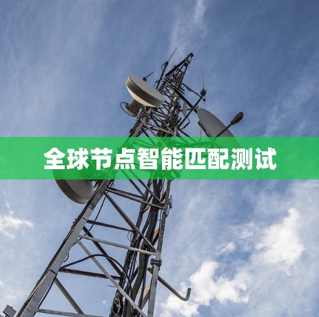 全球节点智能匹配测试 全球节点智能匹配测试