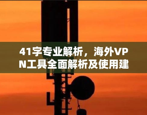 41字专业解析,海外VPN工具全面解析及使用建议 41字专业解析,海外VPN工具全面解析及使用建议