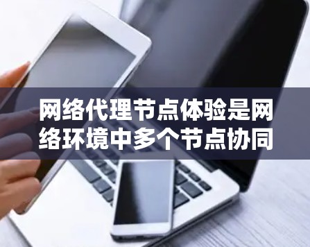 网络代理节点体验是网络环境中多个节点协同工作时的表现,涉及连接、通信、处理请求、安全等多个方面。以下是对这一主题的详细总结和扩展 网络代理节点体验是网络环境中多个节点协同工作时的表现,涉及连接、通信、处理请求、安全等多个方面。以下是对这一主题的详细总结和扩展