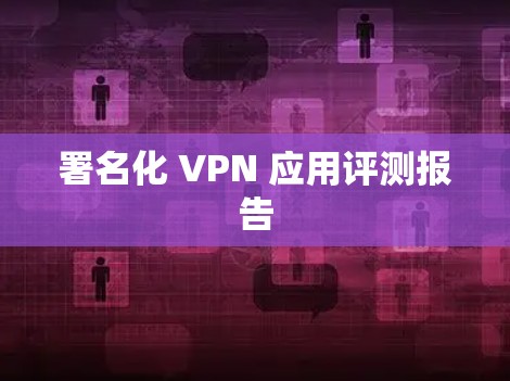 署名化 VPN 应用评测报告