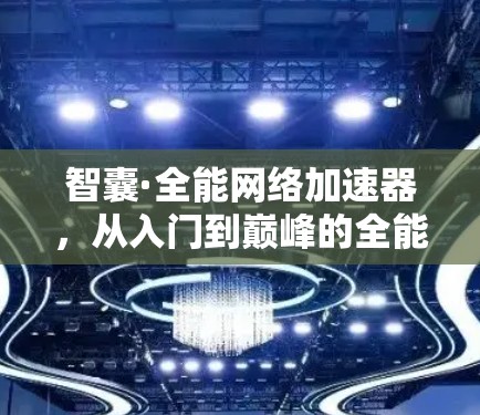 智囊·全能<strong>网络加速</strong>器,从入门到巅峰的全能解